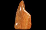 Polished, Orange Calcite Freeform - Madagascar #109629-1